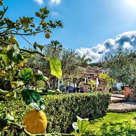 B&B Villa Bency Capo dʼOrlando Exteriér fotografie