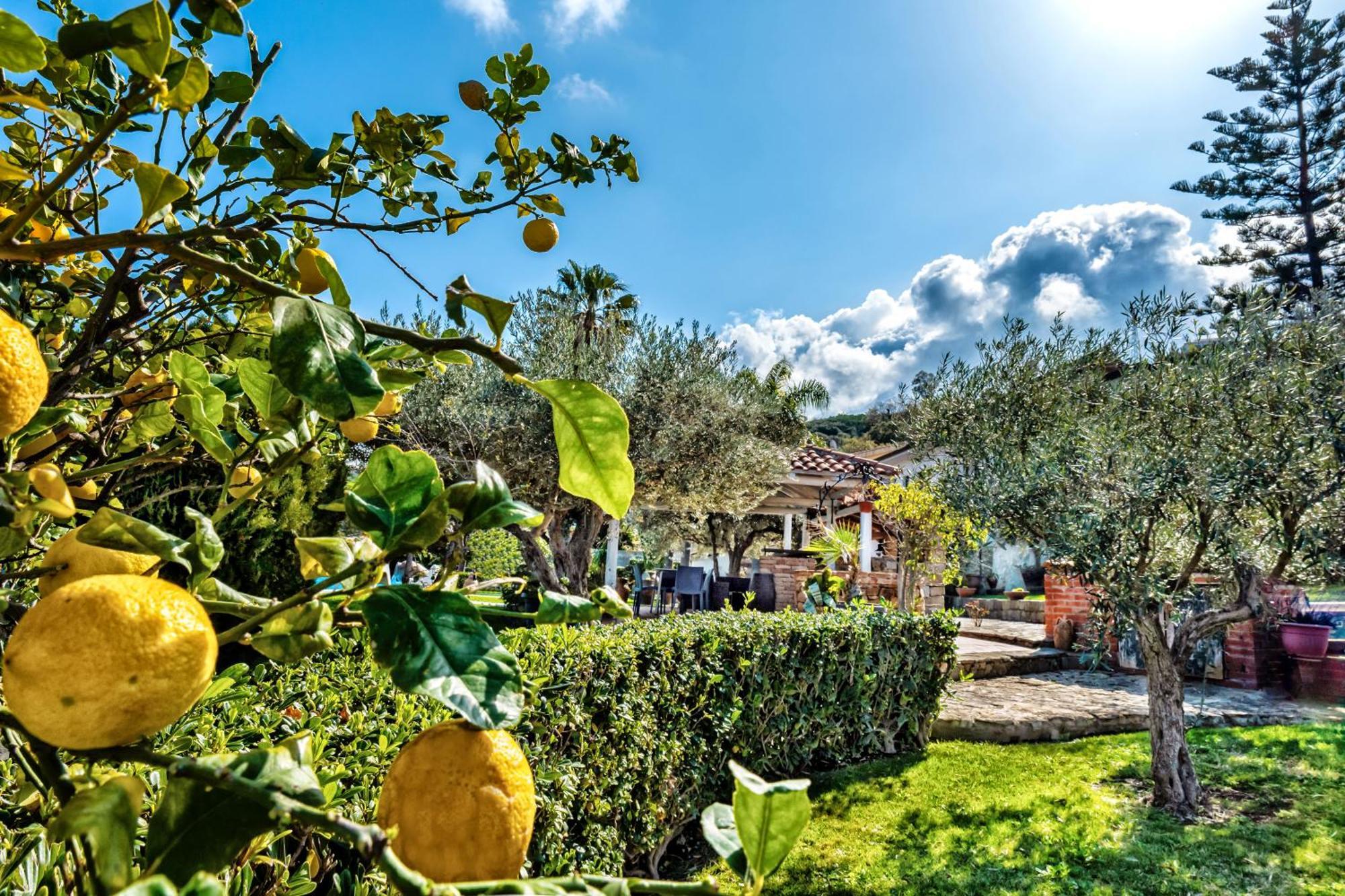 B&B Villa Bency Capo dʼOrlando Exteriér fotografie