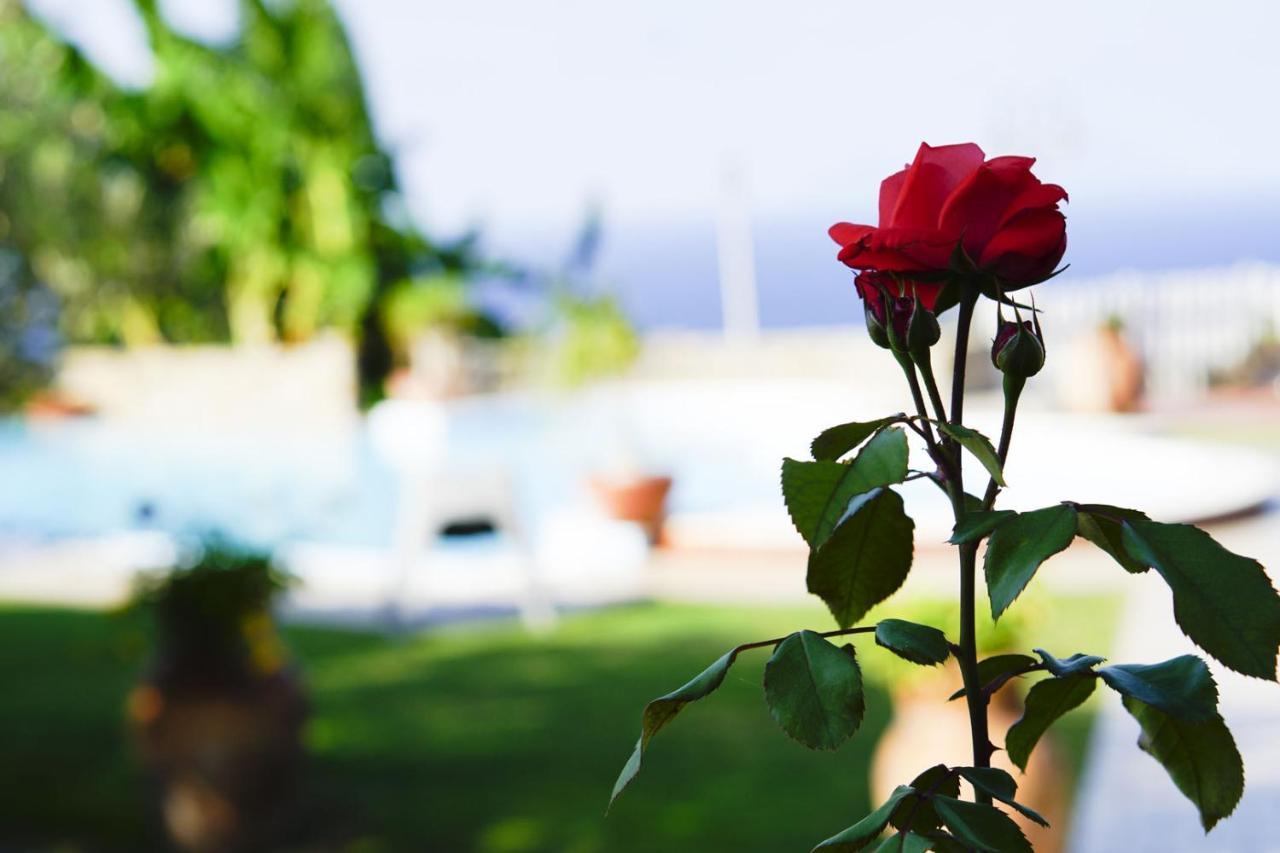 B&B Villa Bency Capo dʼOrlando Exteriér fotografie